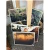 Image 1 : Asst. Framed Nature Photographs - 6