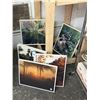 Image 2 : Asst. Framed Nature Photographs - 6