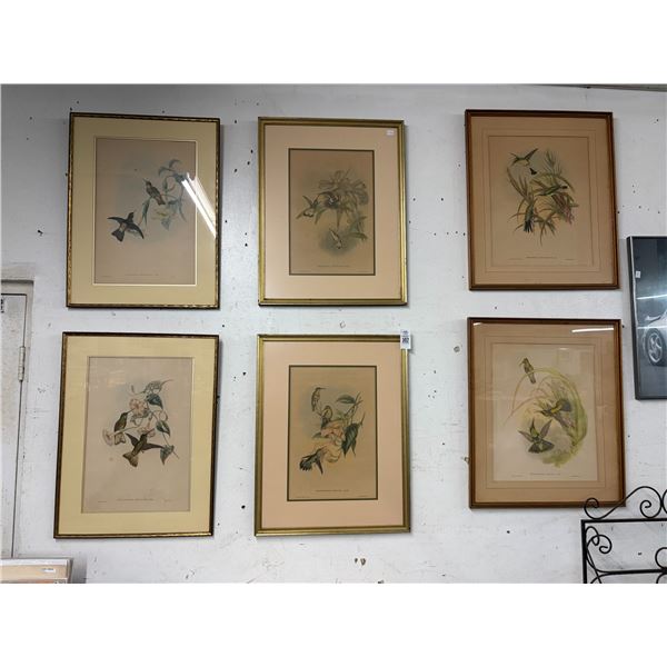 Framed Hummingbird Wall Art Set - 6