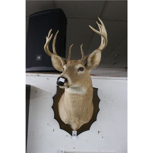 Deer Mount
