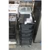 Image 1 : Rolling Multi Drawer Organizers - 2