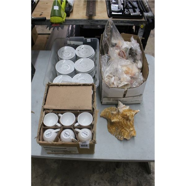 Cups, Saucers, Sea Shells