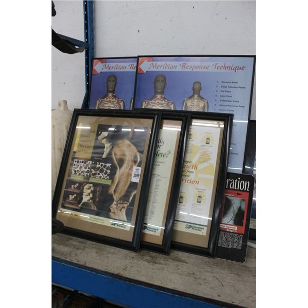 Framed Medical Posters  5+