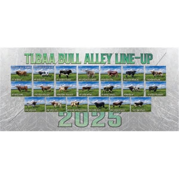 Bull Alley Banner