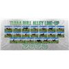 Image 1 : Bull Alley Banner