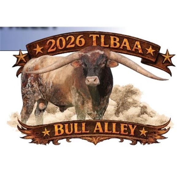 2027 Bull Alley Logo