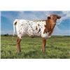 Image 1 : FBL LORETTA LYNN