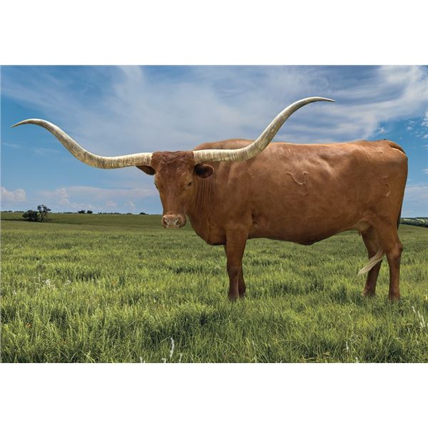 ALLENS TOP DOLLAR TAG 250