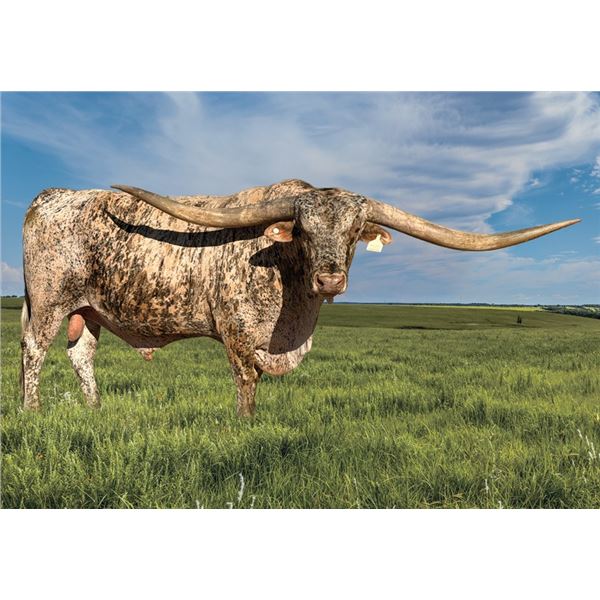 A&S Speckled Cowboy