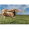 Image 1 : A&S Speckled Cowboy