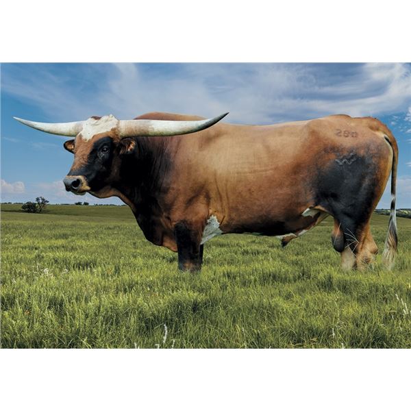 High Plains Drifter BCR