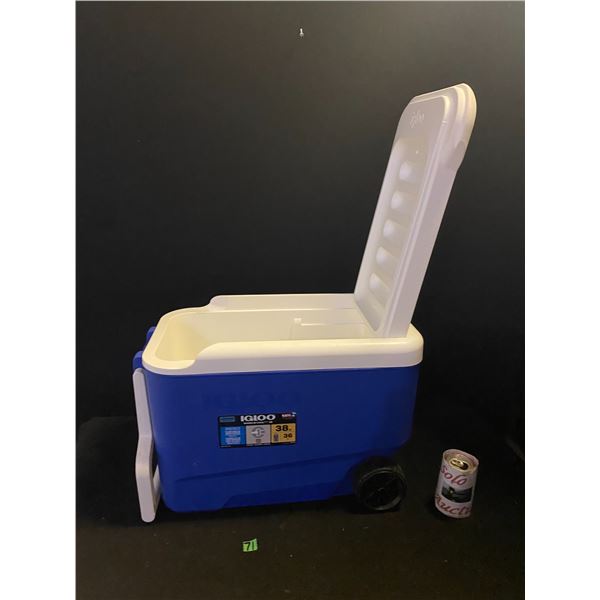 Igloo cooler