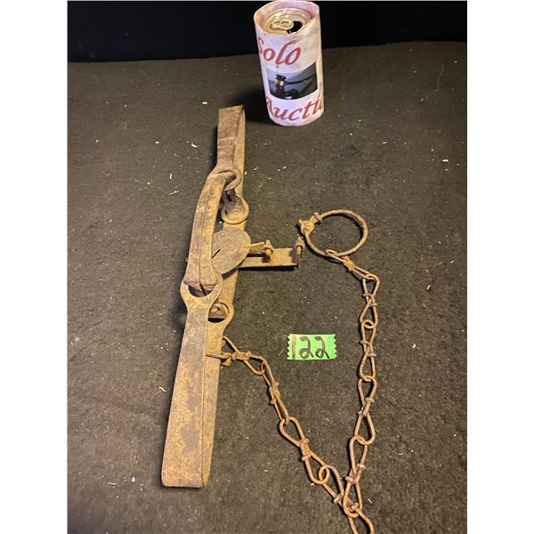 Animal hunting trap
