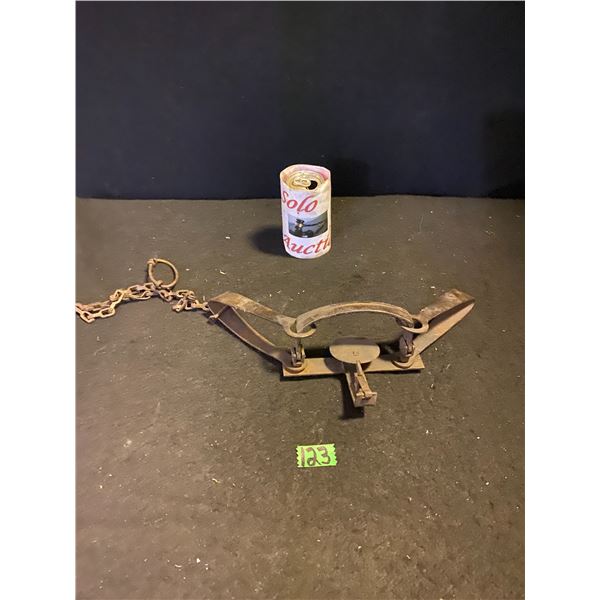 Animal hunting trap