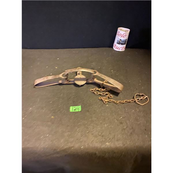 Animal hunting trap