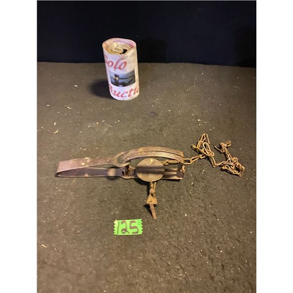 Animal hunting trap