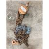 Image 1 : PACER 1 1/2 Chain Hoist and Chains