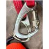 Image 4 : Ratchet Straps and Tiedowns