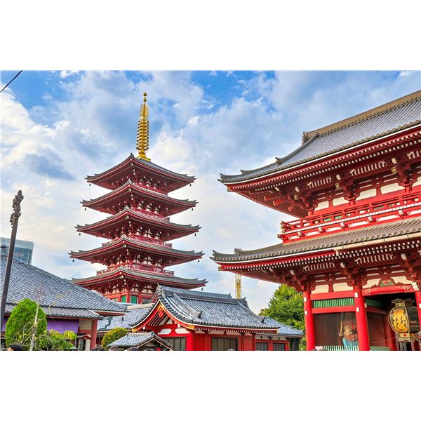 Discover Japan: Sumo, Tea & the Bullet Train — image 5