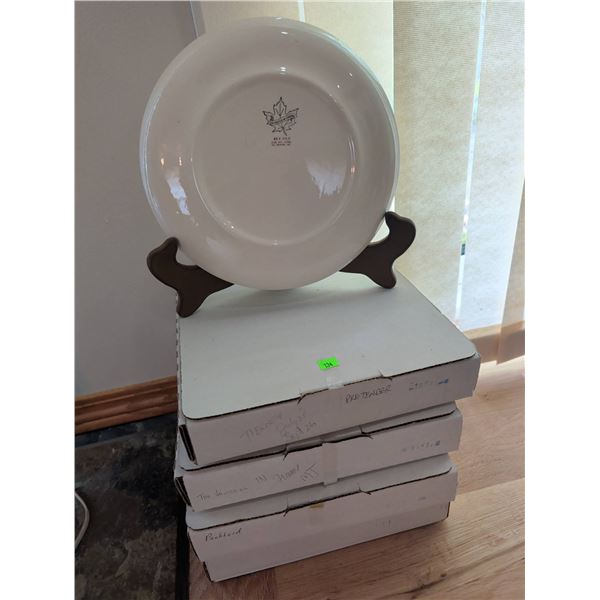 Mystery Decorative Collectible Plates