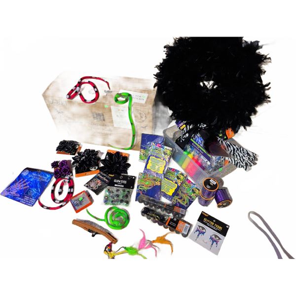 Halloween Decoration and Accessory Lot Including Grim Reaper, Glow Items, and Costume Accessories