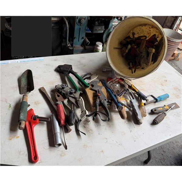 Multiple Hand Tools: Pipe Wrench, Trowel, Pliers, Screwdrivers, Sockets, Extensions, Scraper, etc