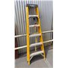 Image 1 : Werner 6256 Electro-Master Fiberglass 6' Step Ladder