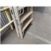 Image 13 : Fred Rader 12' Step Ladder