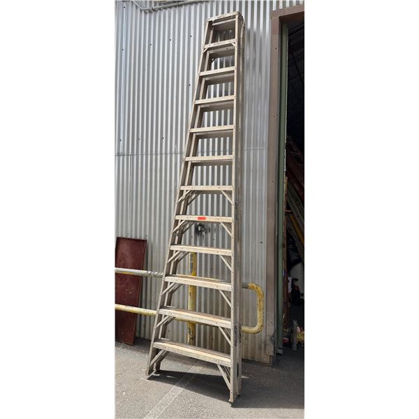 Fred Rader 12' Step Ladder