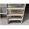 Image 6 : Fred Rader 12' Step Ladder