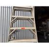 Image 8 : Fred Rader 12' Step Ladder