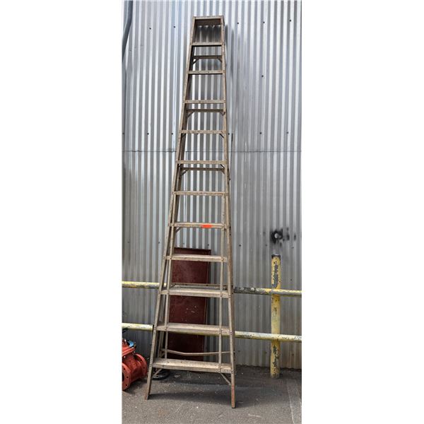 Metal 12' Step Ladder