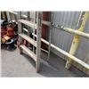Image 5 : Metal 12' Step Ladder