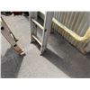 Image 5 : Metal Round-Rung Extension Ladder