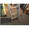 Image 2 : Metal Round-Rung Extension Ladder