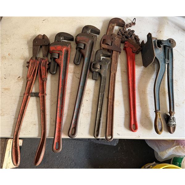 Qty 4 Large Pipe Wrenches, Chain Wrench, Bolt Cutters & W.A. Whitney Hand Punch