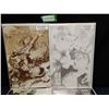 Image 2 : Assorted Foil Covers and Limited Edition Comics