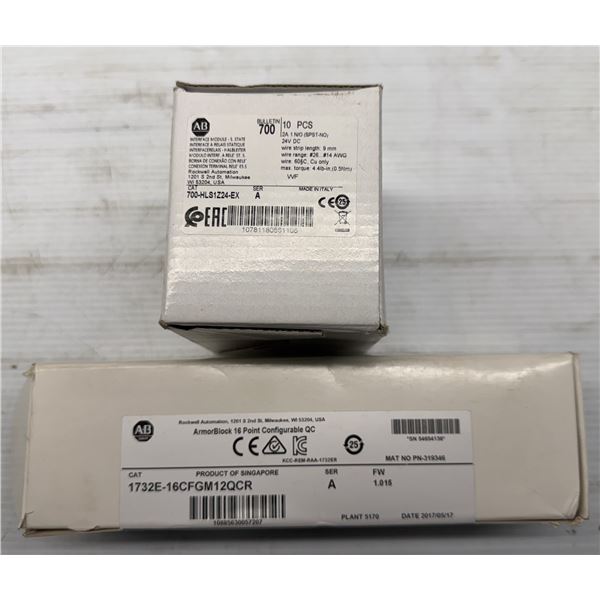 Lot of (2) Allen Bradley Interface Modules & ArmorBlock