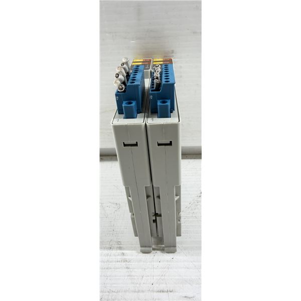 (2) Allen-Bradley #1719-CF4H Analog I/O Modules