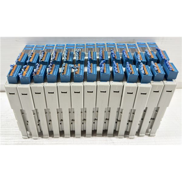 Lot of (13) Allen-Bradley #1719-IBN8 DC Input Modules