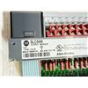 Image 4 : (2) Allen-Bradley #1746-OA16 SER D Modules