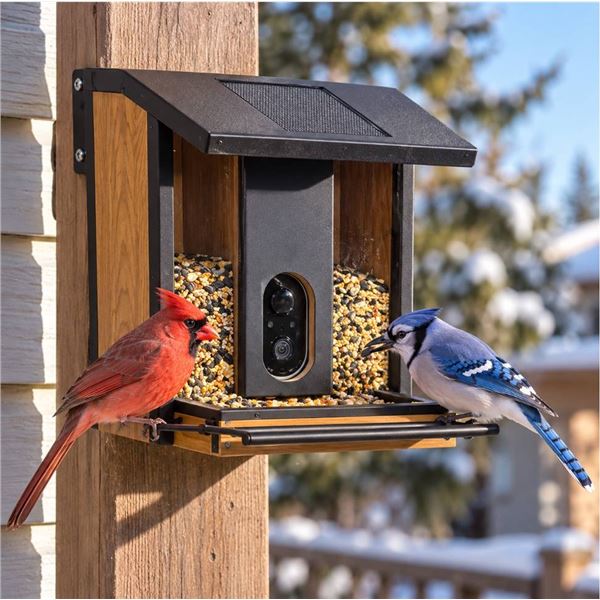 Evergreen Solar Camera Bird Feeder 3.5 lb Capacity