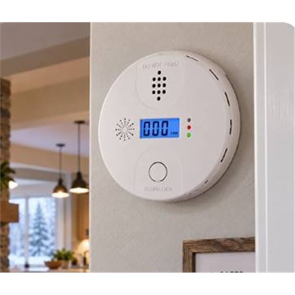 Digital Carbon Monoxide Alarm Model C20A