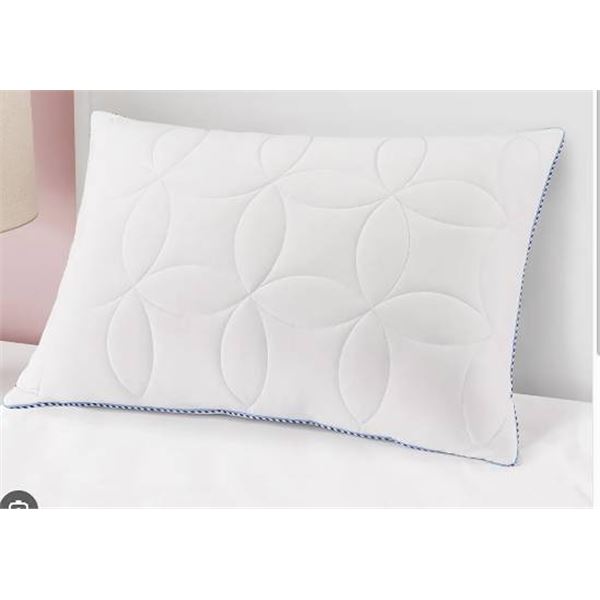 1 Single Kate Spade Cooling Comfort Bed Pillows