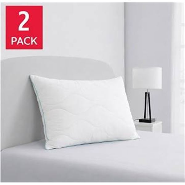 Roots Home Premium Luxury Queen Pillows 2 Pack