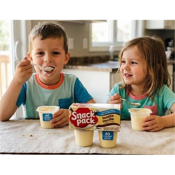 Snack Pack Vanilla Pudding 12x(4x99g)