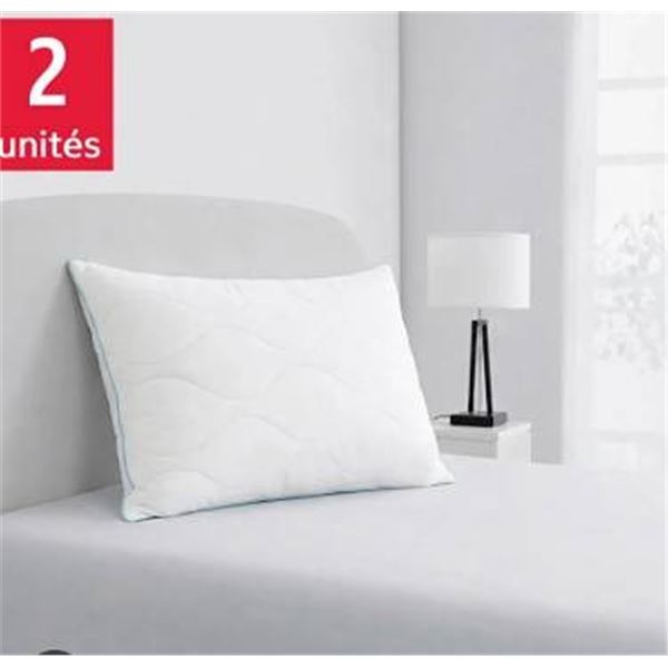 Below Zero Set Of 2 Pillows 20x28 Inch White