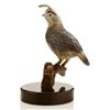 Image 1 : California Quail on Marble Bas