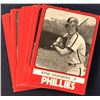 Image 1 : 1980 TCMA MiLB READING PHILLIES TEAM SET - RYNE SANDBERG (HOF)