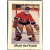 Image 1 : 1987-88 O-PEE-CHEE NHL MINI - BRIAN HAYWARD
